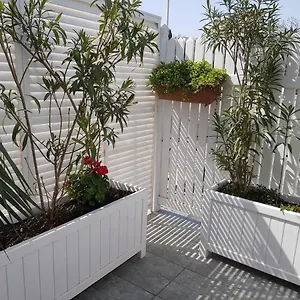 Citrus Boutique 3* Баку